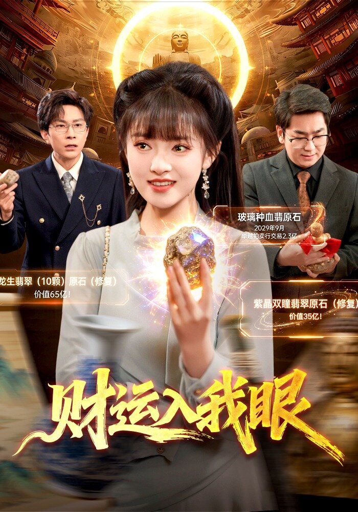 财运入我眼海报
